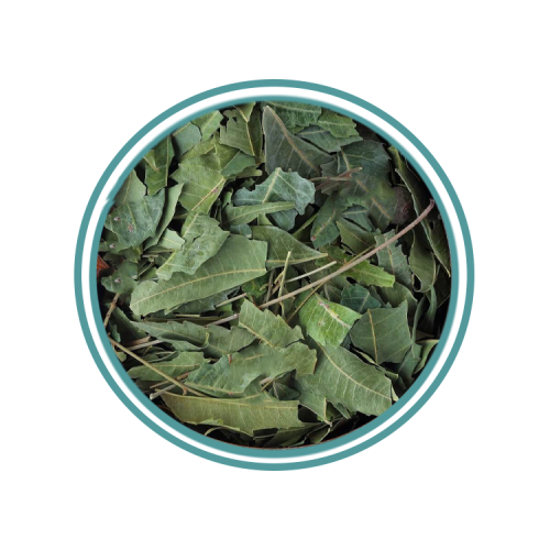 ورق النيم 100 جرام