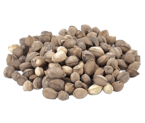 بذور المورينجا العربيه - 250 جرام