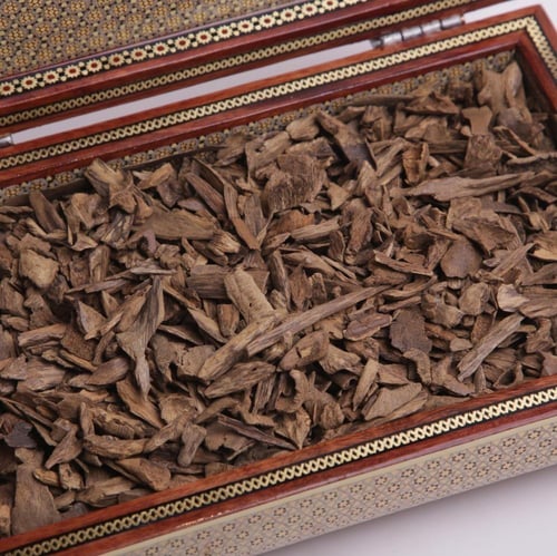 عود فلبيني دقة