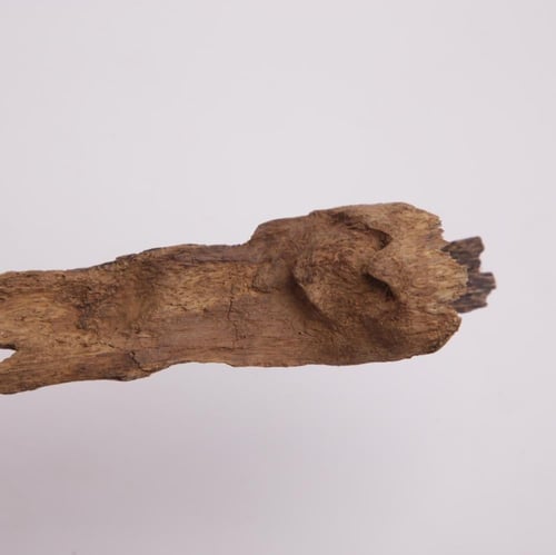 عود تحفة مالينو فاخر