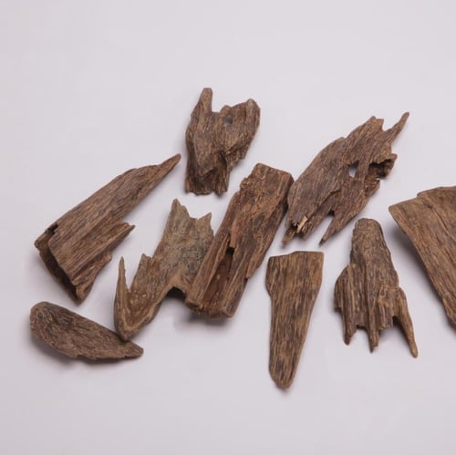 عود مالينو قديم