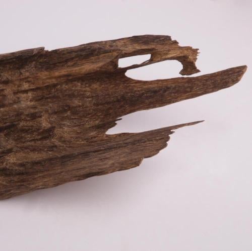 عود تحفة مالينو فاخر