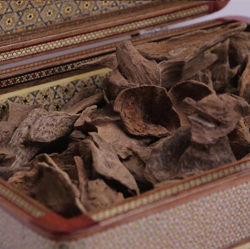 عود أرياني بابوا