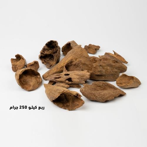 عـود أرياني قواقع
