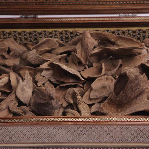 عود أرياني بابوا