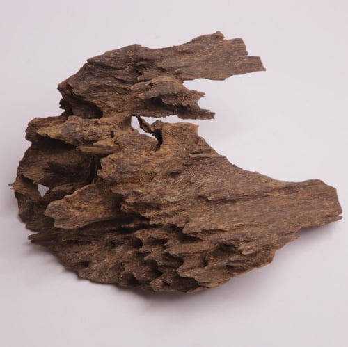 عود تحفة مالينو فاخر