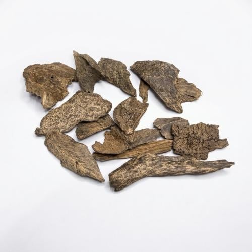 عود سيلاني اندروتر