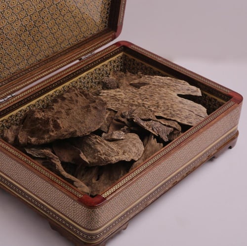 عود سيلاني قديم