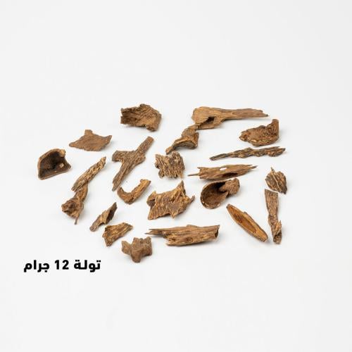 عـود بروناي اندروتر