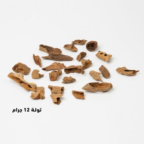 عـود فلبيني شوشني و قواقع اندروتر