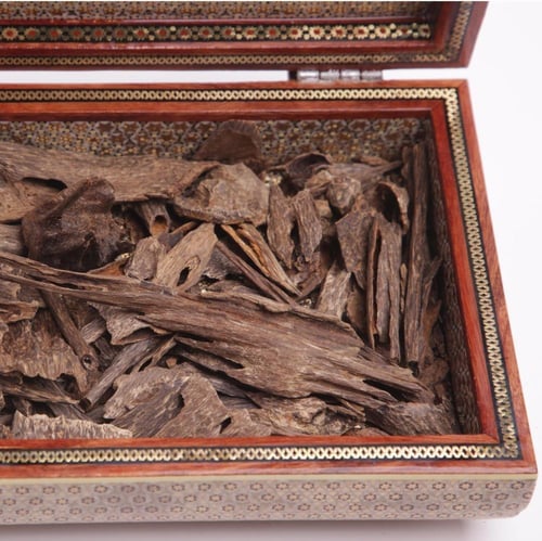 عود ترنقانو اندرووتر