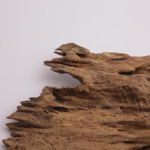 عود تحفة مالينو فاخر