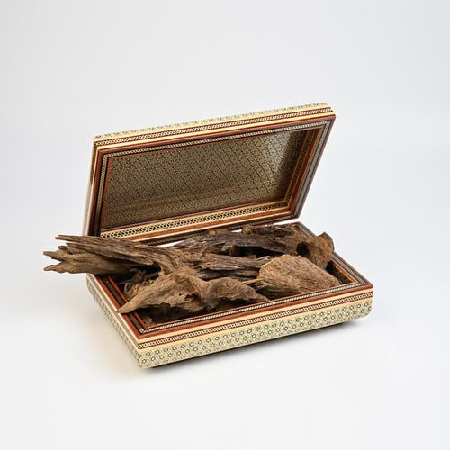 موروكي حــي