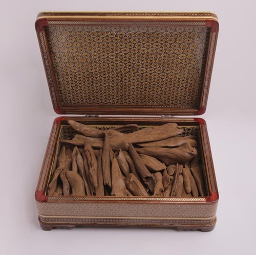 عود موروكي اقلام