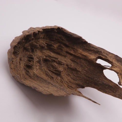 عود تحفة مالينو فاخر