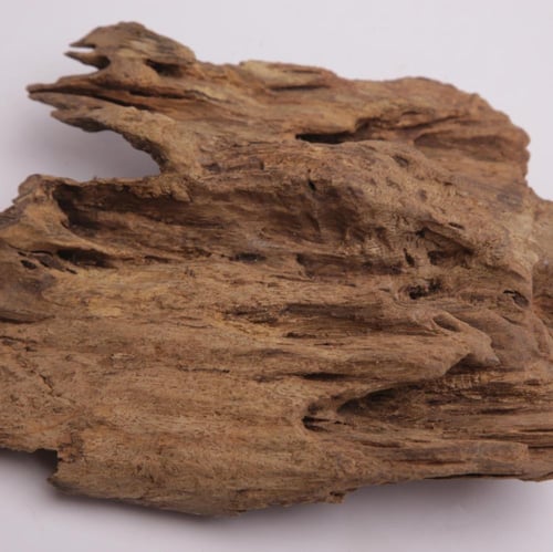 عود تحفة مالينو فاخر