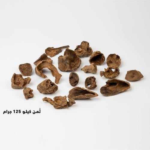 عـود مالينو 1400 قواقع اندروتر
