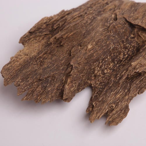 عود تحفة مالينو فاخر