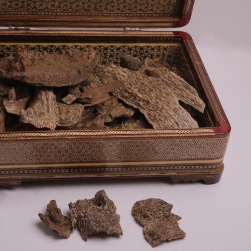 عود سيلاني قديم