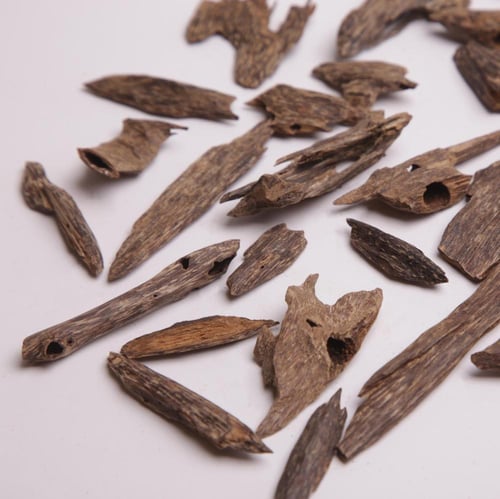 عود ماليزي ترنقانو