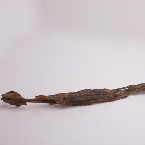 عود تحفة مالينو فاخر