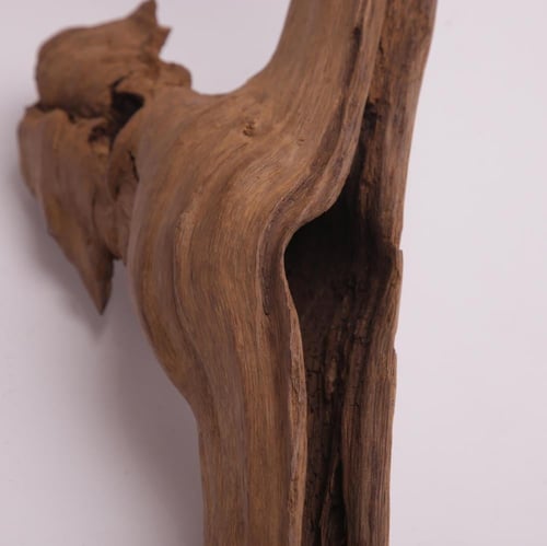 عود تحفة موروكي فاخر