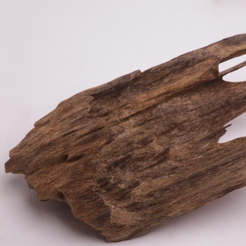 عود تحفة مالينو فاخر