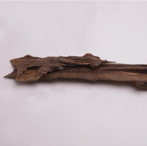 عود تحفة مالينو فاخر