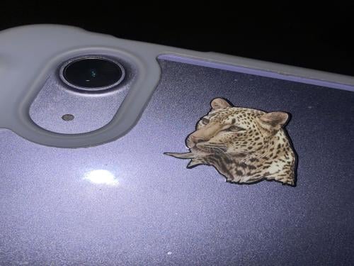 Metallic tiger sticker