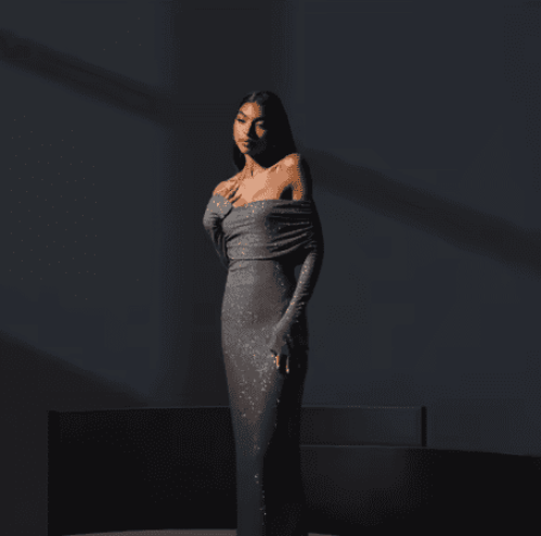 فستان ضيق شبكي أنيق للنساء