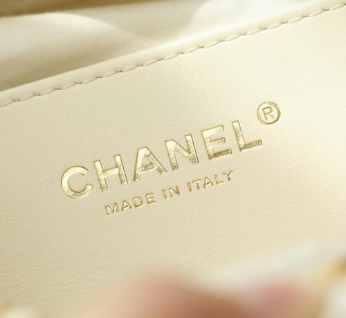 شانيل -ميني هوبو