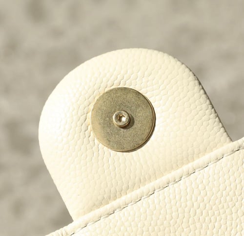 شانيل -ميني هوبو