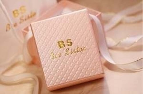 ساعة نسائية انيقة ماركة BS موديل FA1712