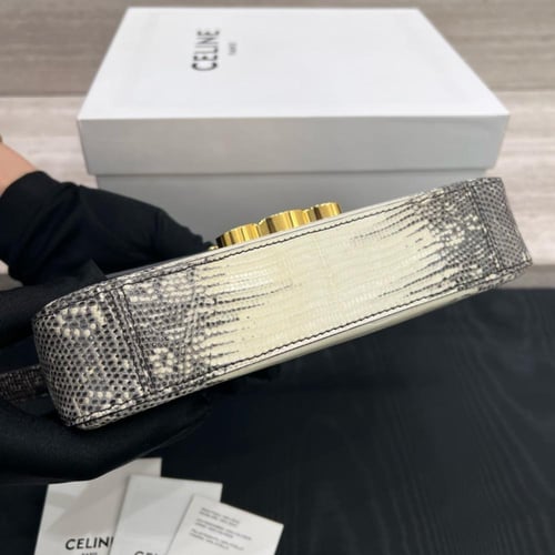 شنطة سيلين TRIOMPPHE