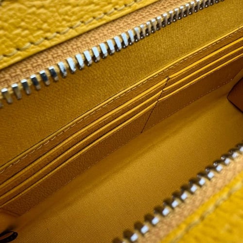 باوتش غوتشي