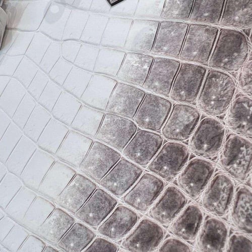 شنطة هيرميسBirkin 25cm Himalaya