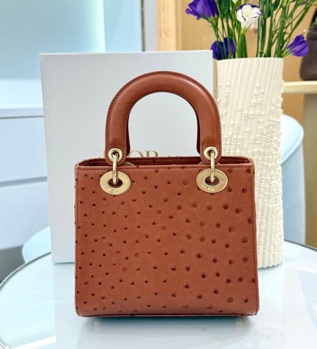 شنطة ديور Mini Lady Dior Bag مقاس 20cm