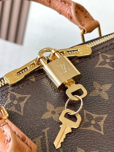 شنطه لويس فيتون