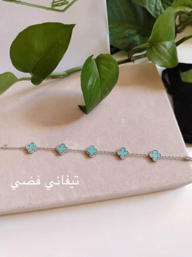 اساور فان كليف ميني