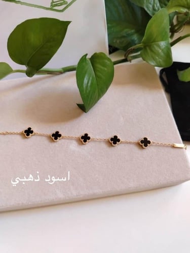 اساور فان كليف ميني