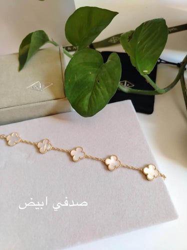 اساور فان كليف