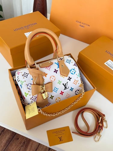 شنطة لويس فيتون ماستر