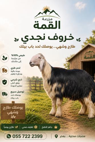 نجدي