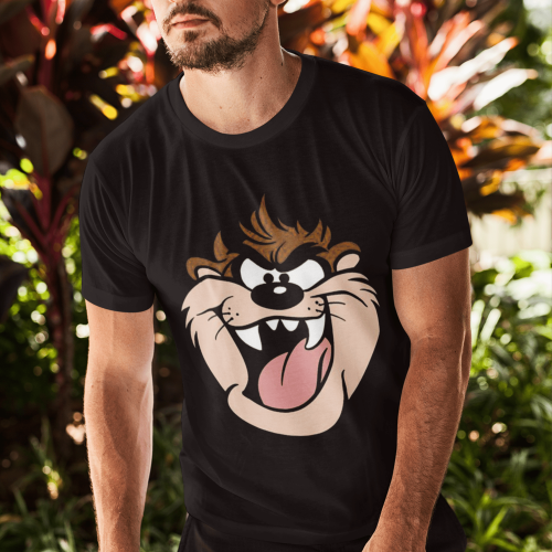 تيشرت - بلوفر لوني تونز تاز - looney tunes