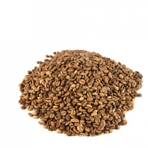 بن هرري باشنفر الخير ( محمص )