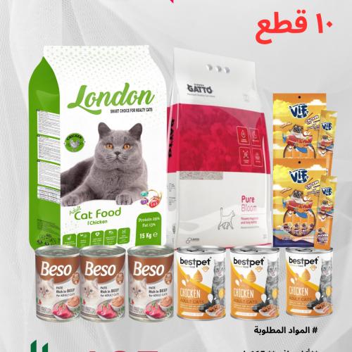 Special Offer 10 Items Adult cat