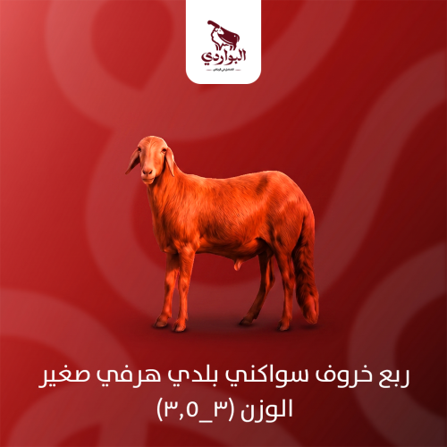 ربع خروف سواكني بلدي هرفي صغير الوزن (3_3.5)