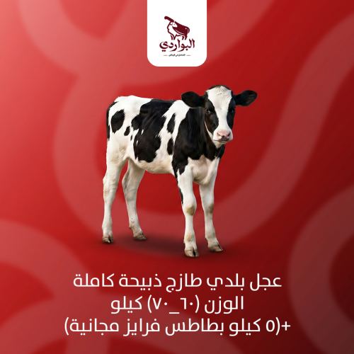 عجل بلدي طازج ذبيحة كاملة الوزن (60_70) كيلو