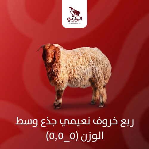 ربع خروف نعيمي جذع وسط الوزن (5_5.5)