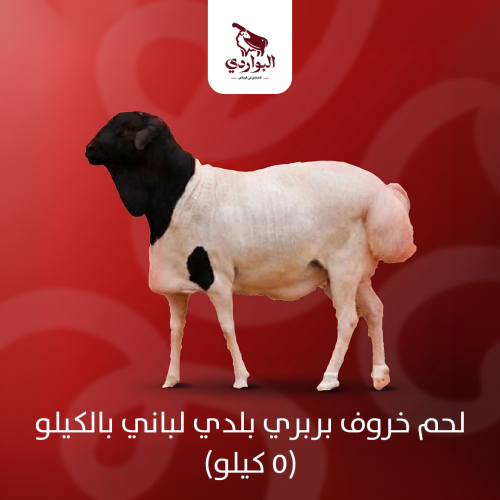 لحم خروف بربري بلدي لباني بالكيلو (5 كيلو)
